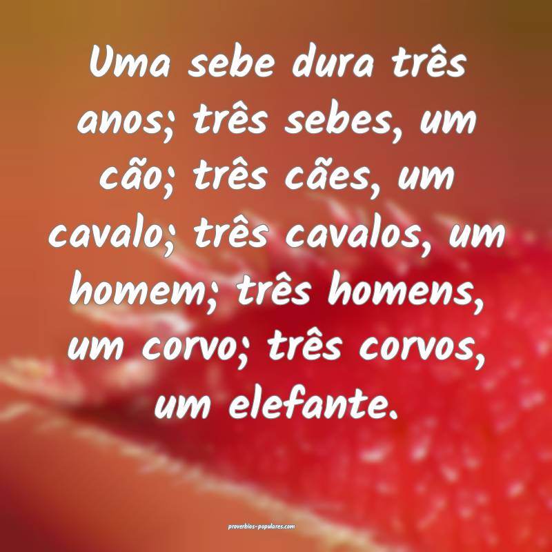 Uma sebe dura três anos; três sebes, um cão; três cães, um cavalo...