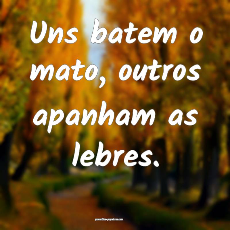 Uns batem o mato, outros apanham as lebres.
...