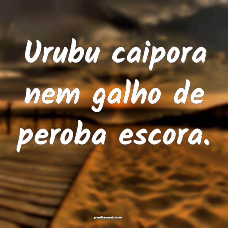 Urubu caipora nem galho de peroba escora.
...