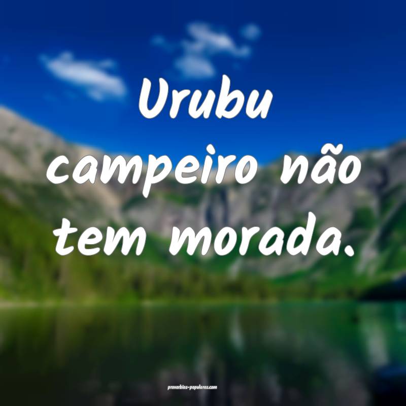Urubu campeiro não tem morada.
...