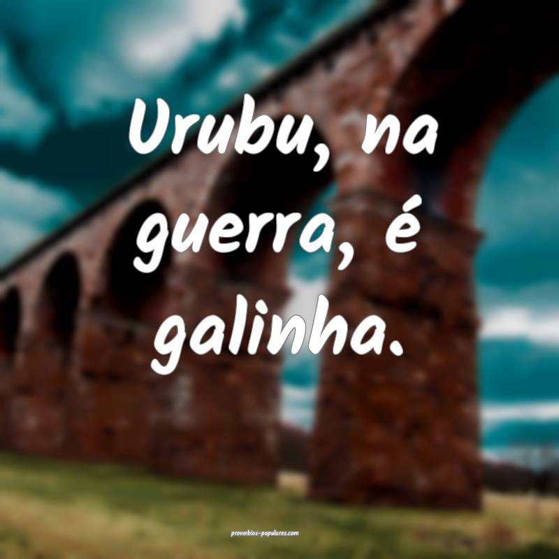 Urubu, na guerra, é galinha.
 ...