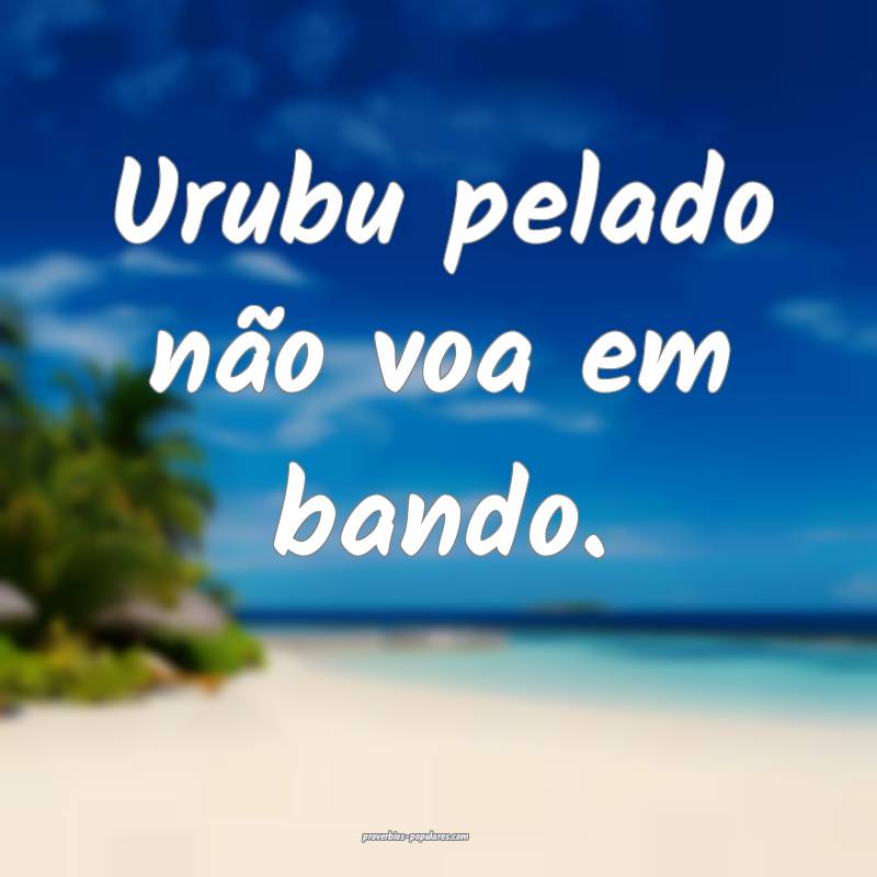 Urubu pelado não voa em bando.
...