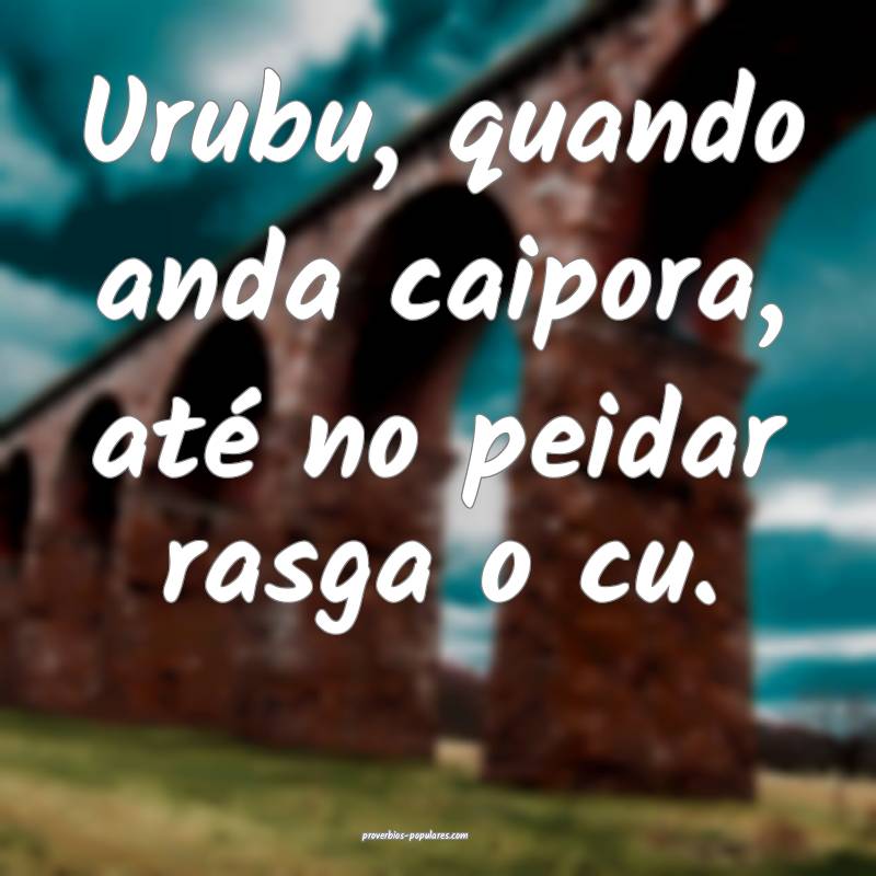Urubu, quando anda caipora, até no peidar rasga o cu.
...