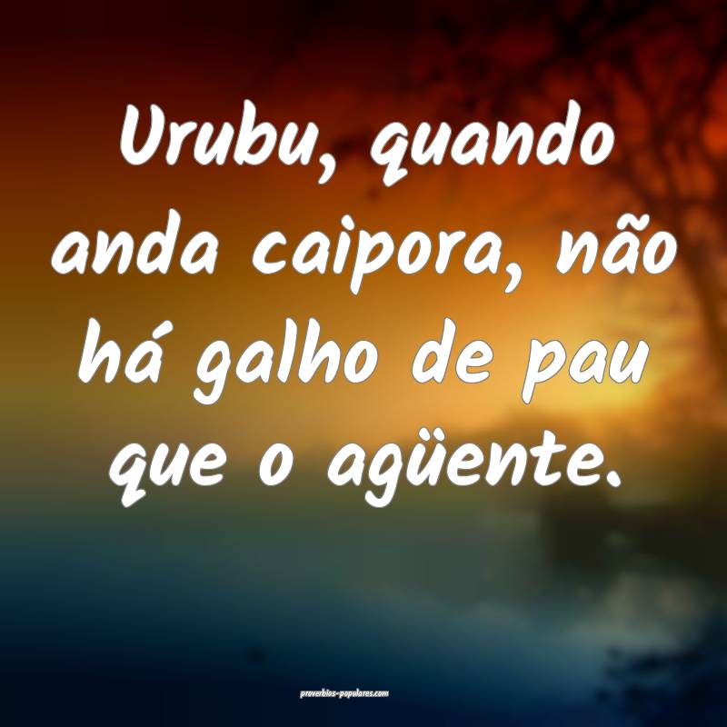 Urubu, quando anda caipora, não há galho de pau que o agüente.
...