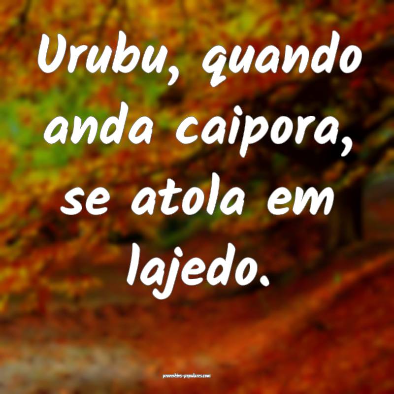 Urubu, quando anda caipora, se atola em lajedo.
...