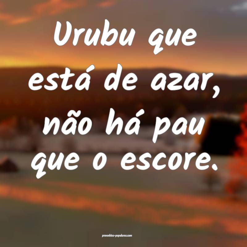 Urubu que está de azar, não há pau que o escore.
...