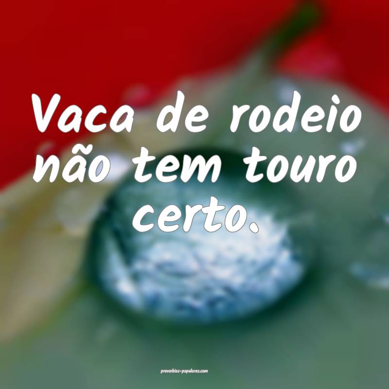 Vaca de rodeio não tem touro certo.
...