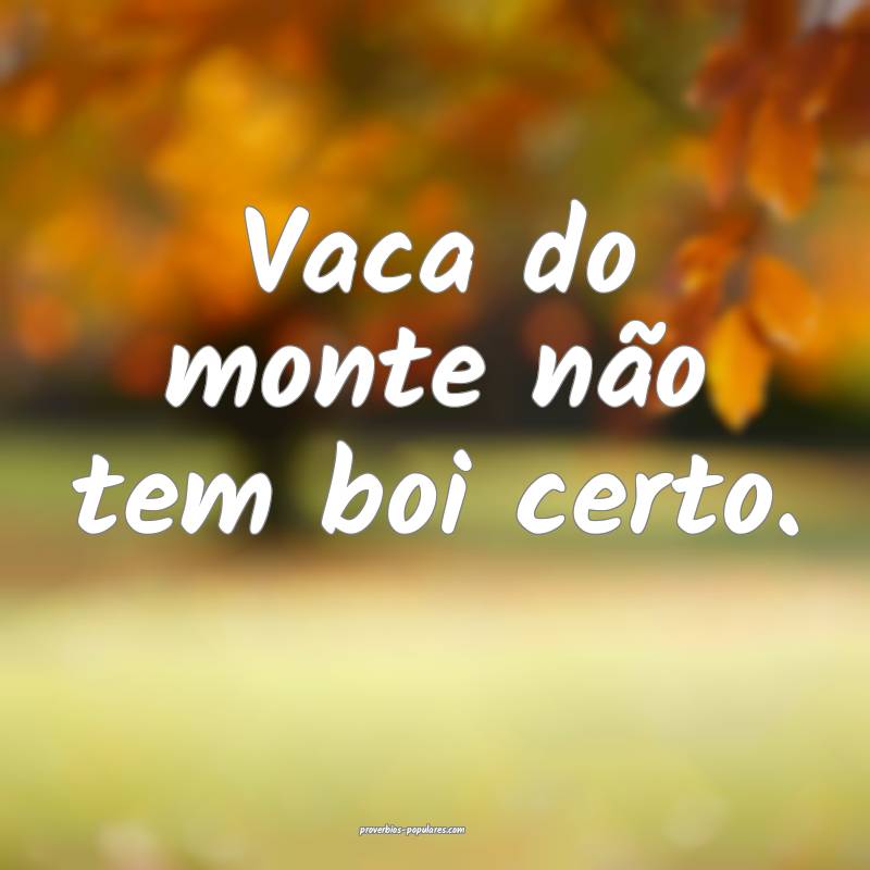Vaca do monte não tem boi certo.
 ...