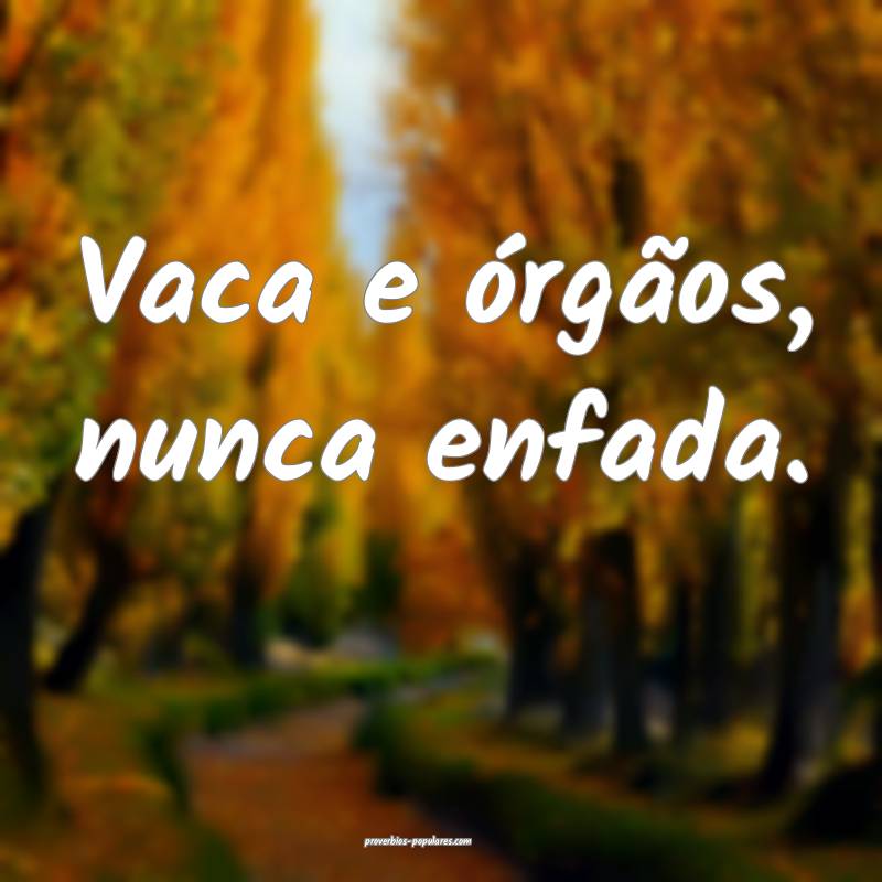 Vaca e órgãos, nunca enfada.
...