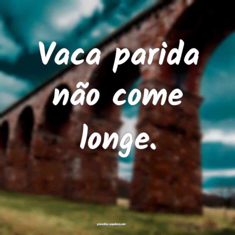 Vaca parida não come longe.
...