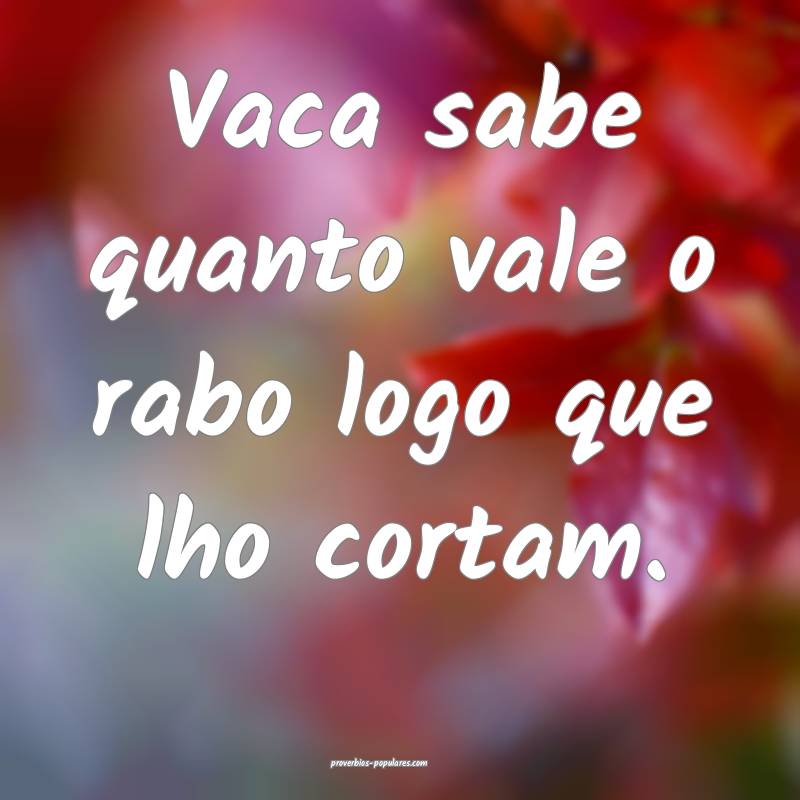 Vaca sabe quanto vale o rabo logo que lho cortam.
...