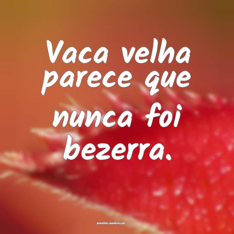 Vaca velha parece que nunca foi bezerra.
...