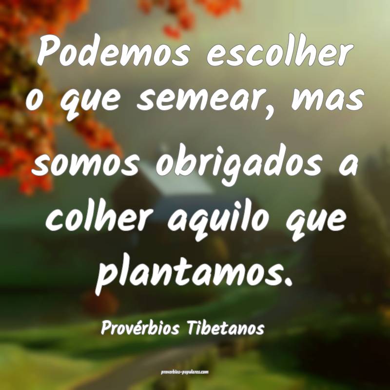 Podemos escolher o que semear, mas somos obrigados a colher aquilo que...