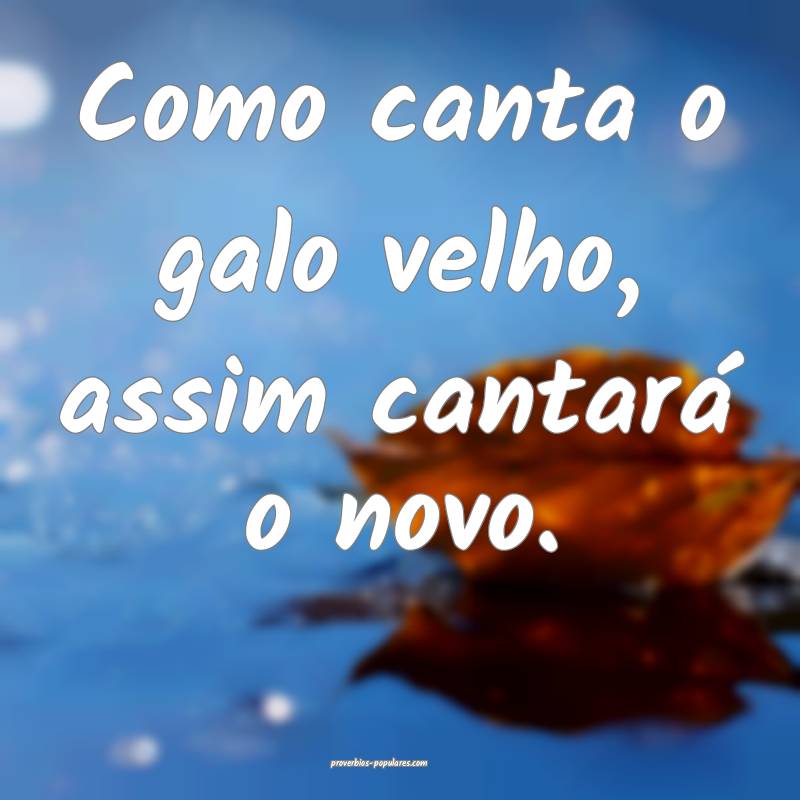 Como canta o galo velho, assim cantará o novo.
 ...