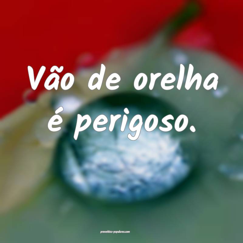 Vão de orelha é perigoso.
...