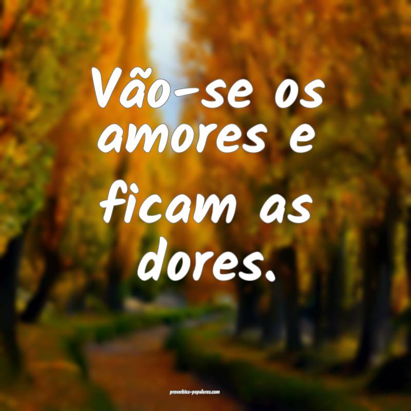 Vão-se os amores e ficam as dores.
...