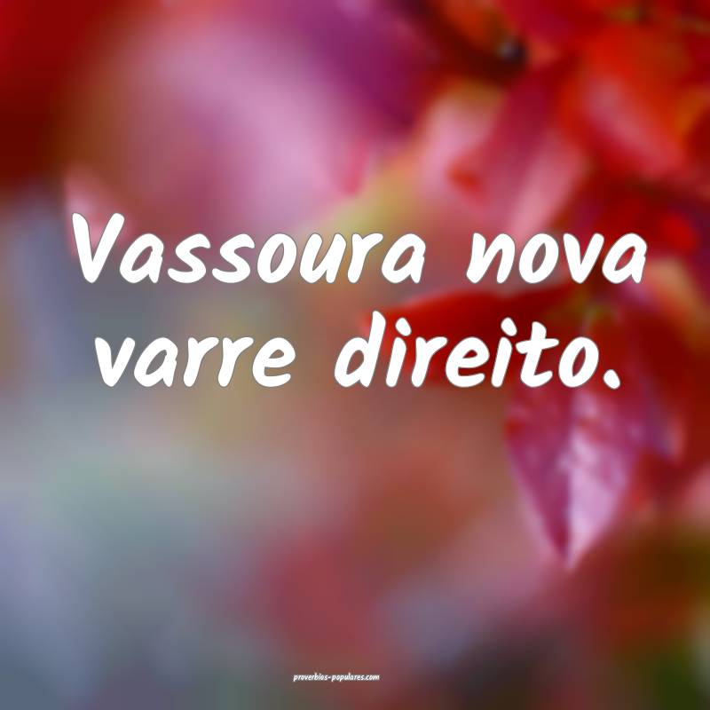 Vassoura nova varre direito.
...