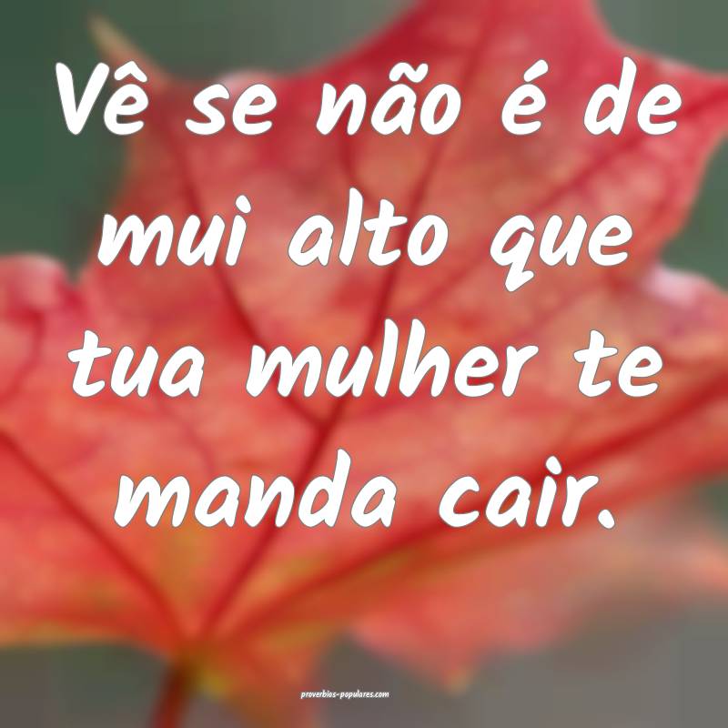 Vê se não é de mui alto que tua mulher te manda ...