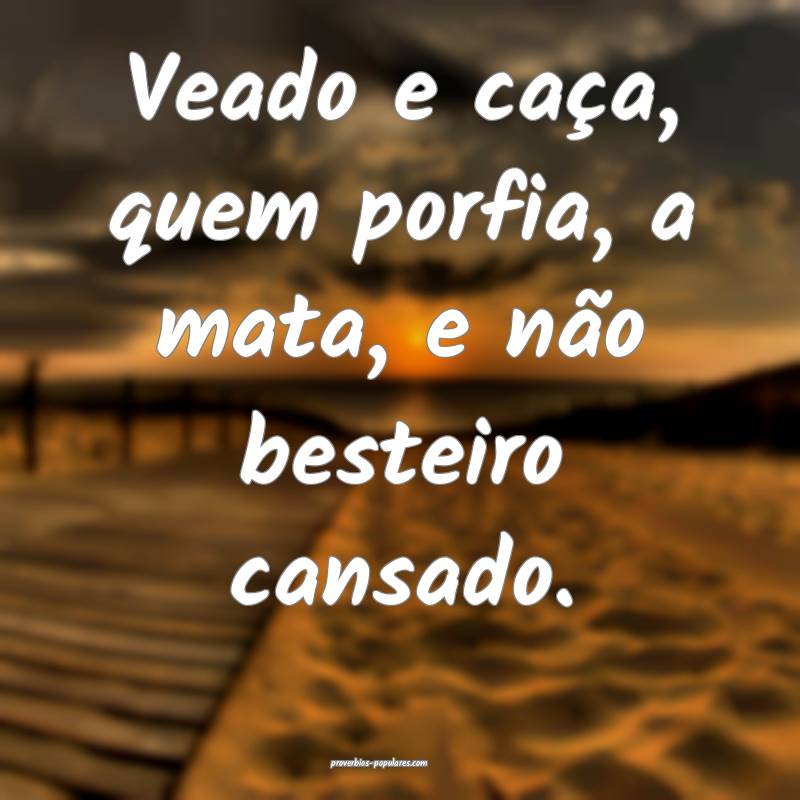 Veado e caça, quem porfia, a mata, e não besteiro cansado.
...