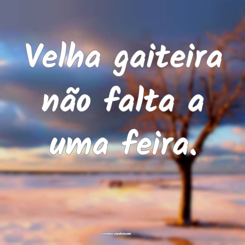 Velha gaiteira não falta a uma feira.
 ...