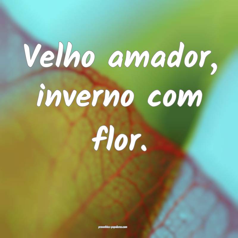 Velho amador, inverno com flor.
 ...