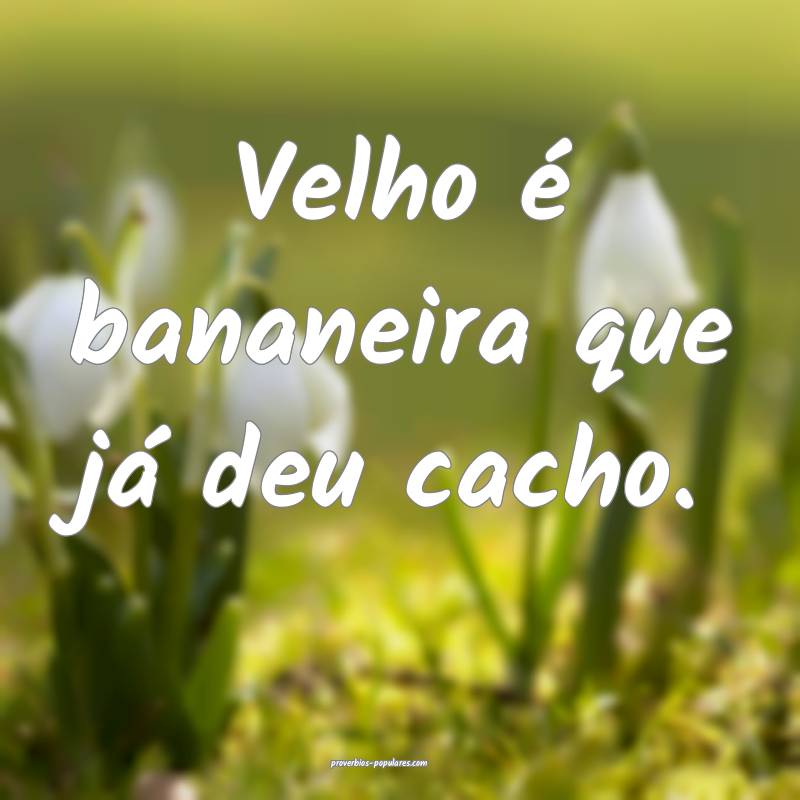 Velho é bananeira que já deu cacho.
 ...