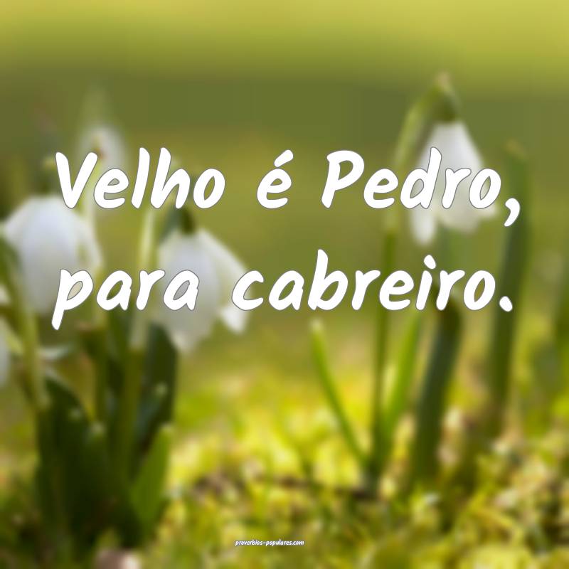 Velho é Pedro, para cabreiro.
 ...