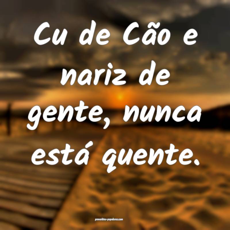 Cu de Cão e nariz de gente, nunca está quente.
...