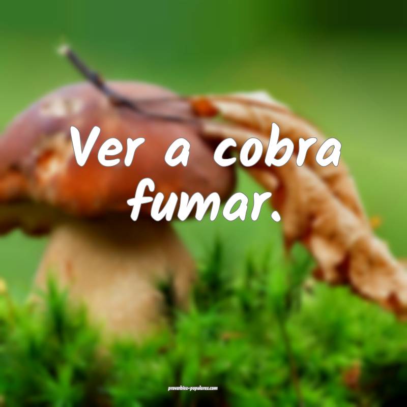 Ver a cobra fumar.
 ...