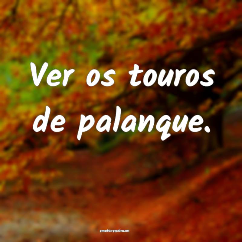 Ver os touros de palanque.
...