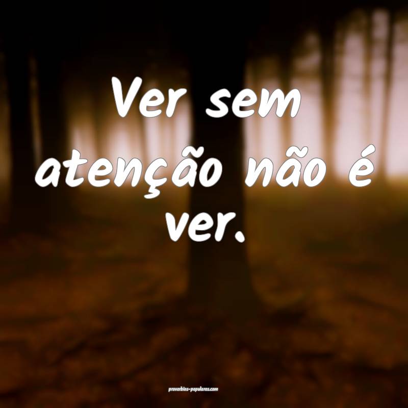 Ver sem atenção não é ver.
...