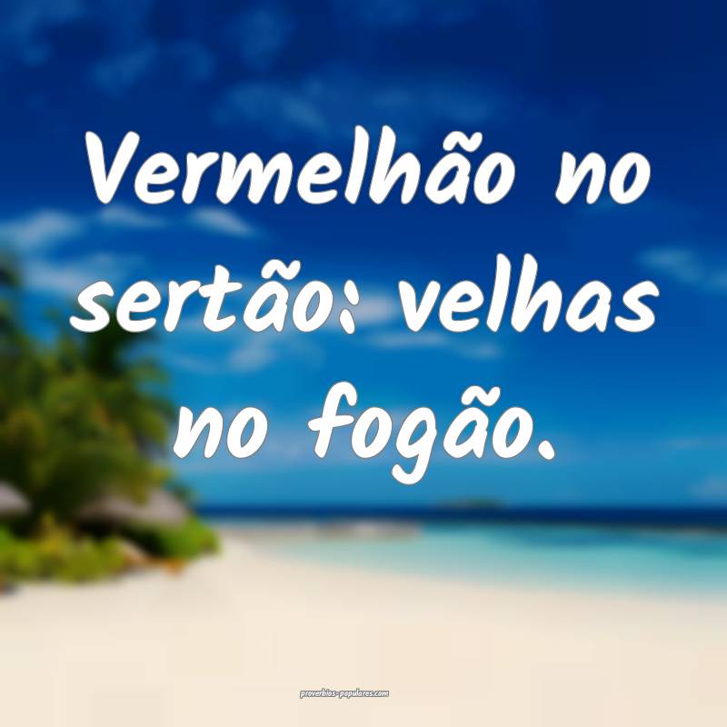Vermelhão no sertão: velhas no fogão.
...