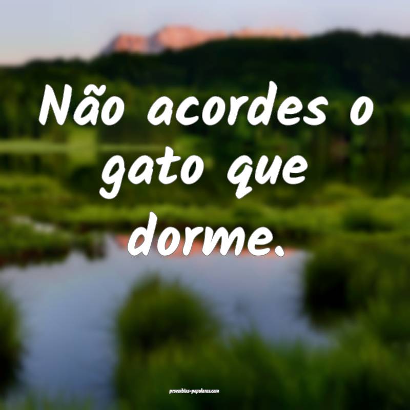 Não acordes o gato que dorme.
...