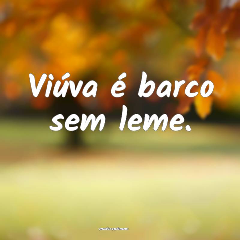 Viúva é barco sem leme.
 ...