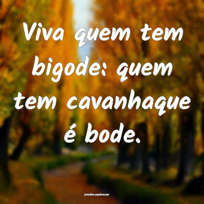 Viva quem tem bigode: quem tem cavanhaque é bode.
...