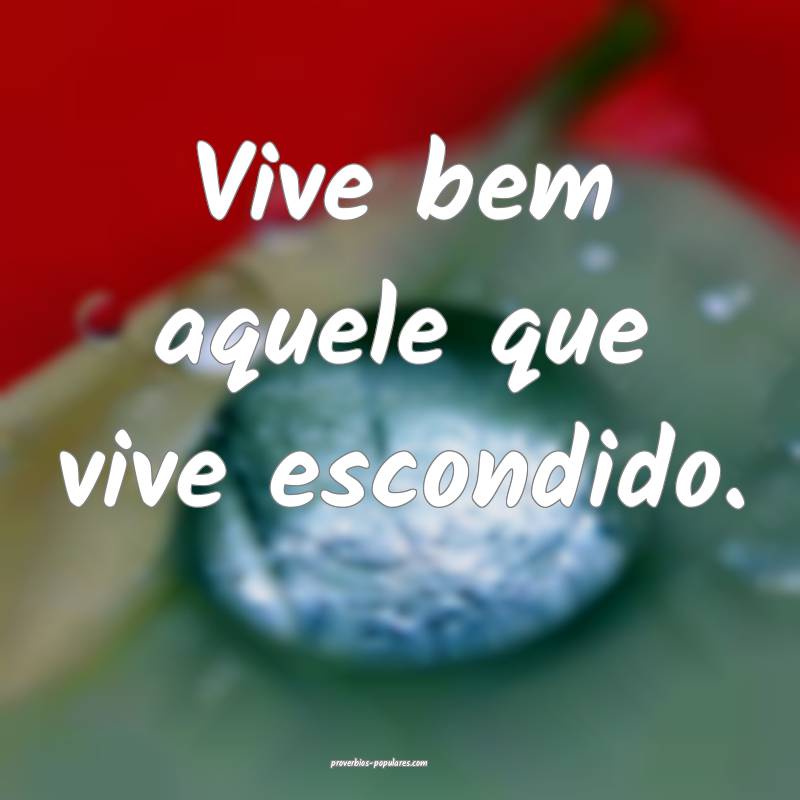 Vive bem aquele que vive escondido.
...
