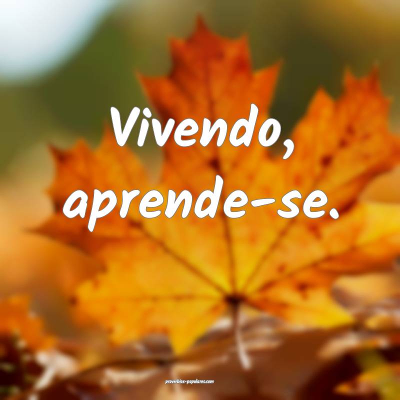 Vivendo, aprende-se.
...