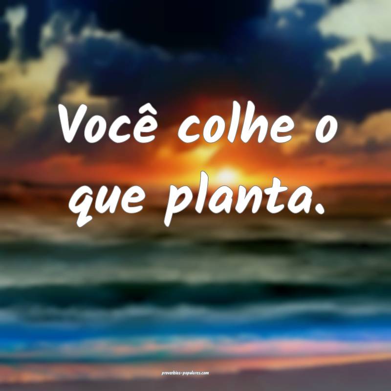 Você colhe o que planta.
...