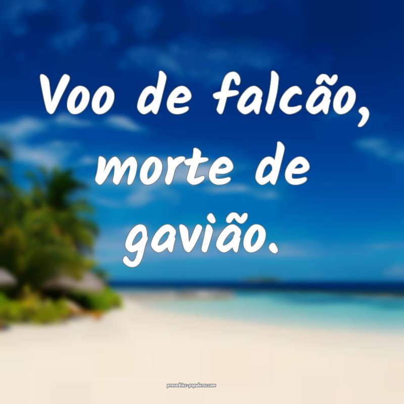 Voo de falcão, morte de gavião.
...