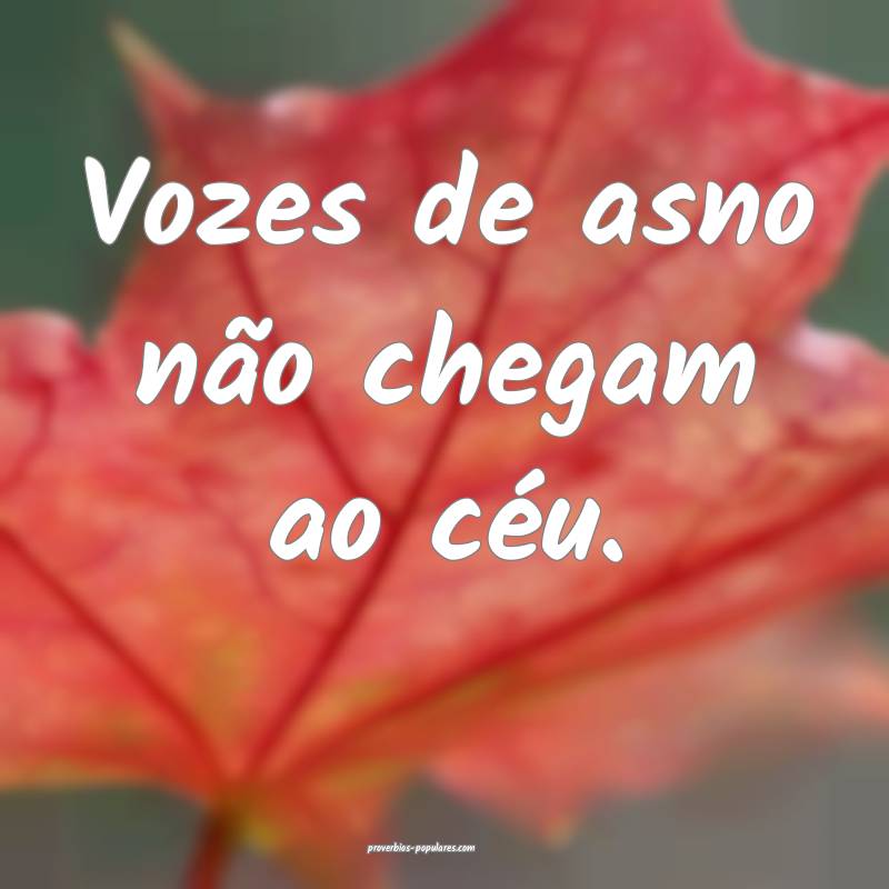 Vozes de asno não chegam ao céu.
...