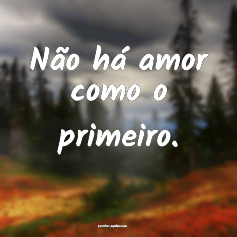 Não há amor como o primeiro.
...