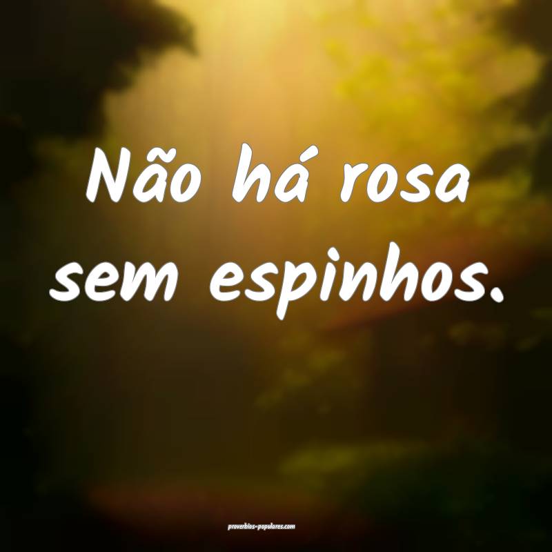 Não há rosa sem espinhos.
...