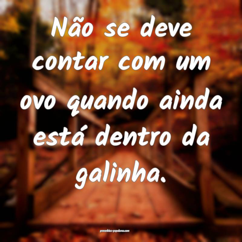 Não se deve contar com um ovo quando ainda está dentro da galinha.
...