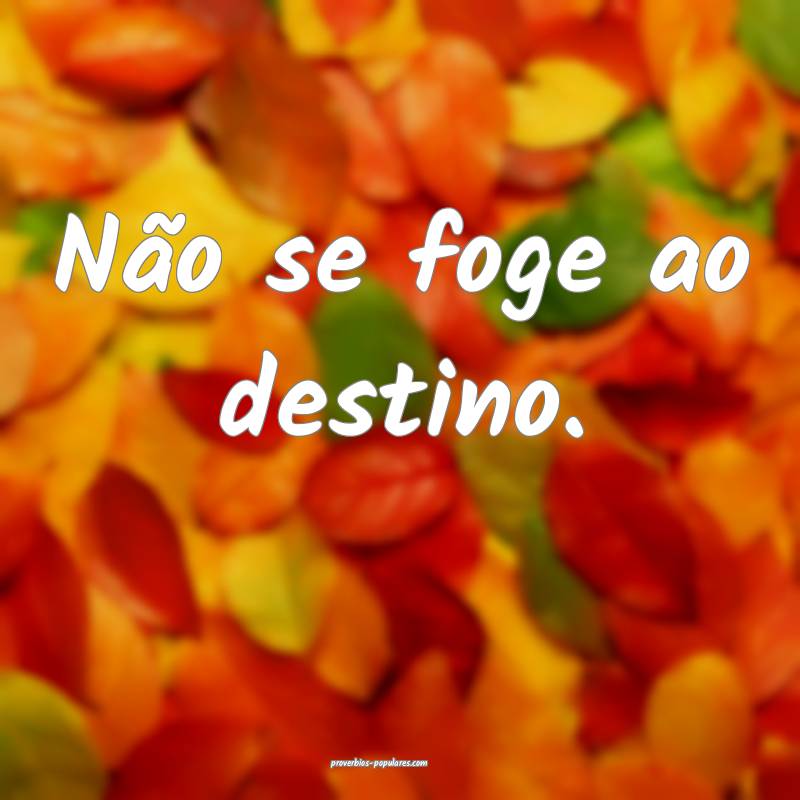 Não se foge ao destino.
...