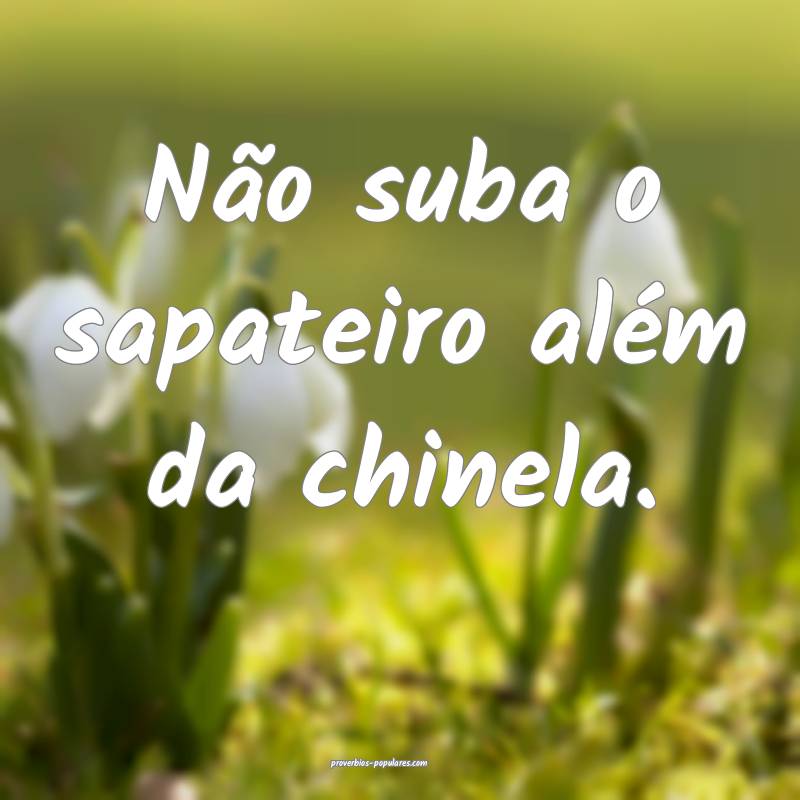 Não suba o sapateiro além da chinela.
...