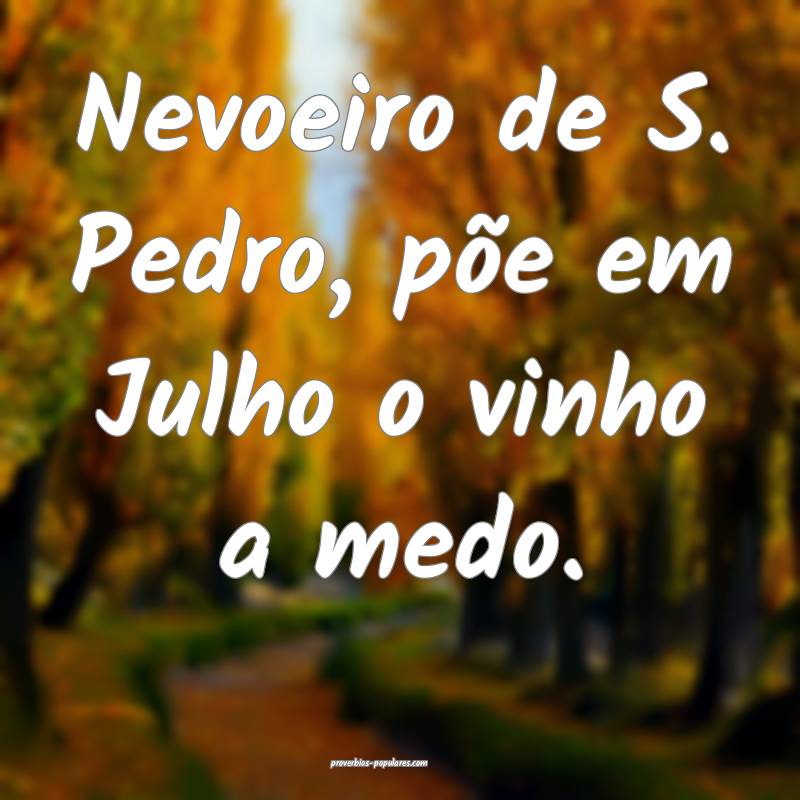 Nevoeiro de S. Pedro, põe em Julho o vinho a medo ...