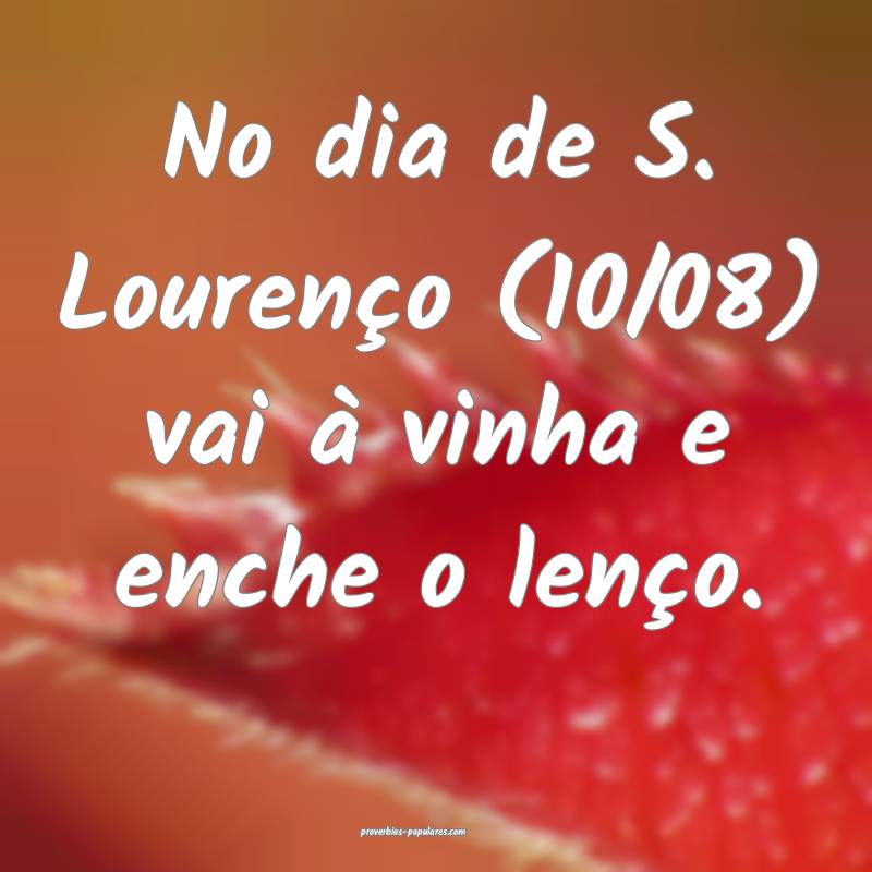 No dia de S. Lourenço (10/08) vai à vinha e enche o lenço.
...