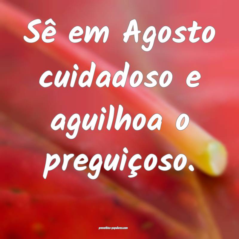 Sê em Agosto cuidadoso e aguilhoa o preguiçoso.
...