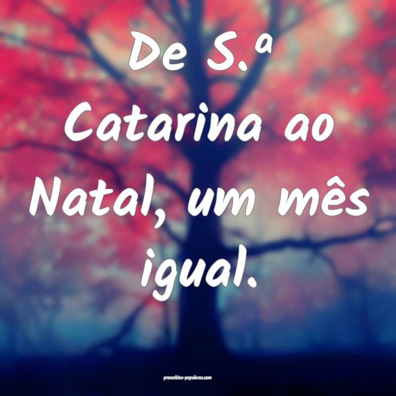 De S.ª Catarina ao Natal, um mês igual.
...