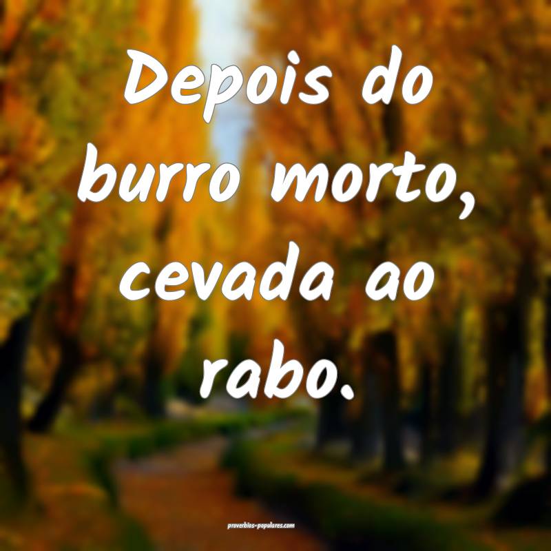 Depois do burro morto, cevada ao rabo.
 ...